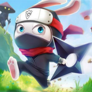 Ninja Rabbit image