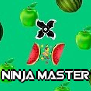 Ninja Master image