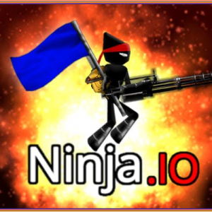 Ninja.io image